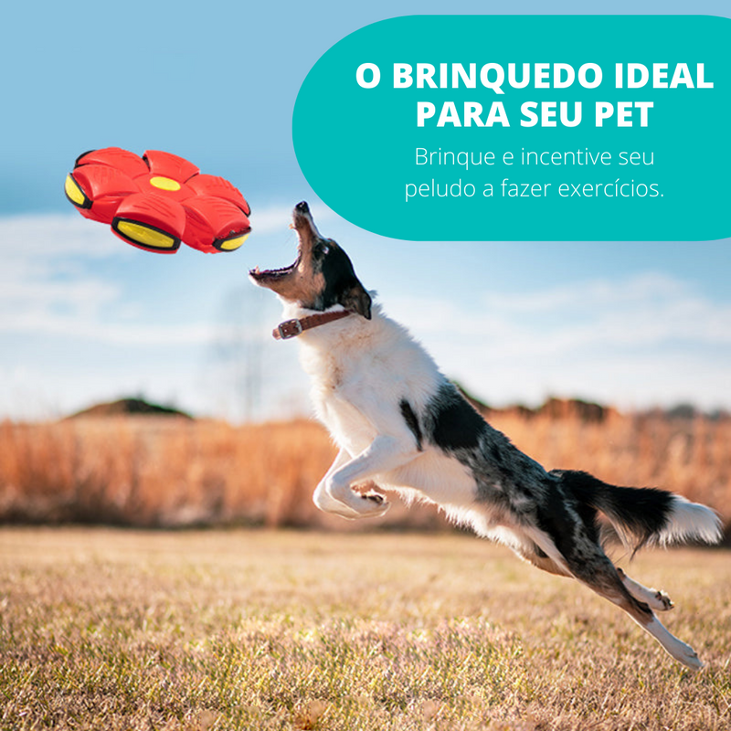 Seu Pet Vai se Divertir e Brincar por Horas - Pet Ball™